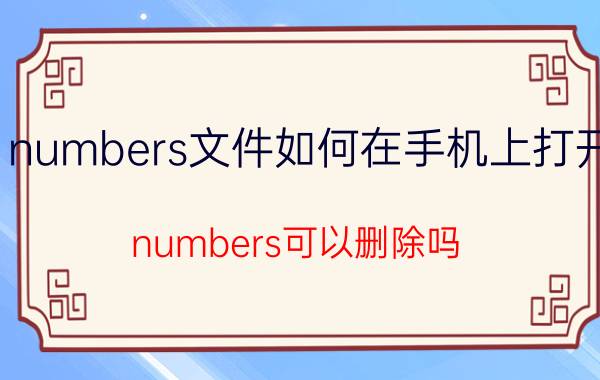 numbers文件如何在手机上打开 numbers可以删除吗？